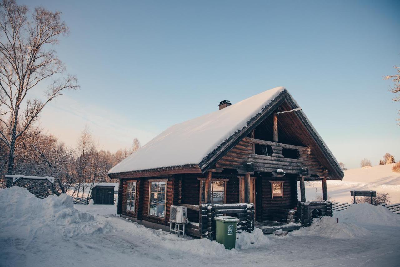 Willa Nuustakumajad Otepää Zewnętrze zdjęcie